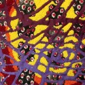 concentric circles of yellow, orange, and red french knots fill the background behind a printed pattern of black clusters with red dots behind a purple net of reverse-appliqued fabric